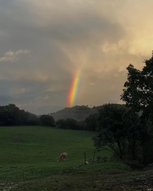 La pluja ens porta aquests regals🌈