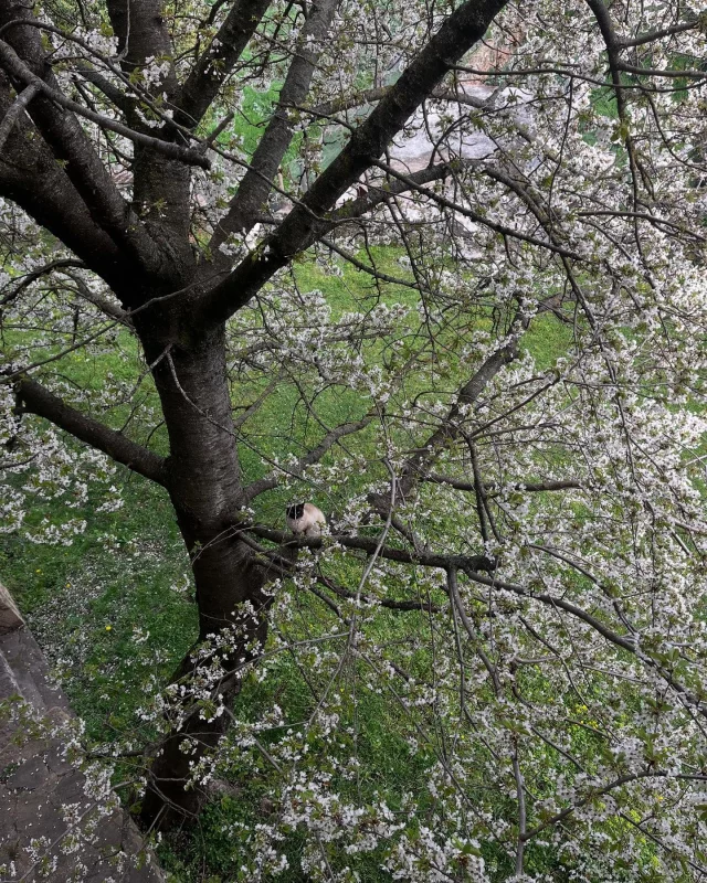 Vols gaudir de la natura després de Setmana Santa? Us oferim un 10% de descompte als nostres allotjaments pel cap de setmana del 25 al 27 d’abril de 2025. Descobreix al Solsonès i les activitas què ens ofereix!