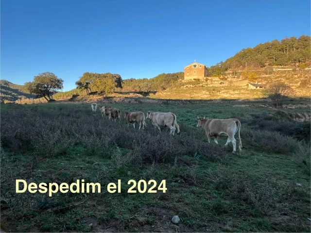 ✨La Dolors, el Daniel, l’Ester i la família del Pla de Montpol us desitgem un Feliç 2025✨